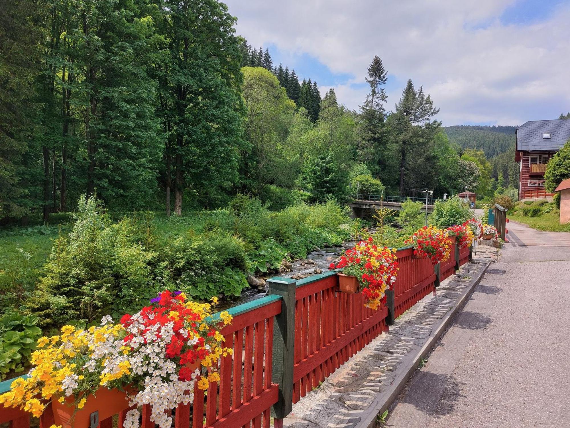 Pension Modrá Hvězda Dolní Malá Úpa Exterior foto