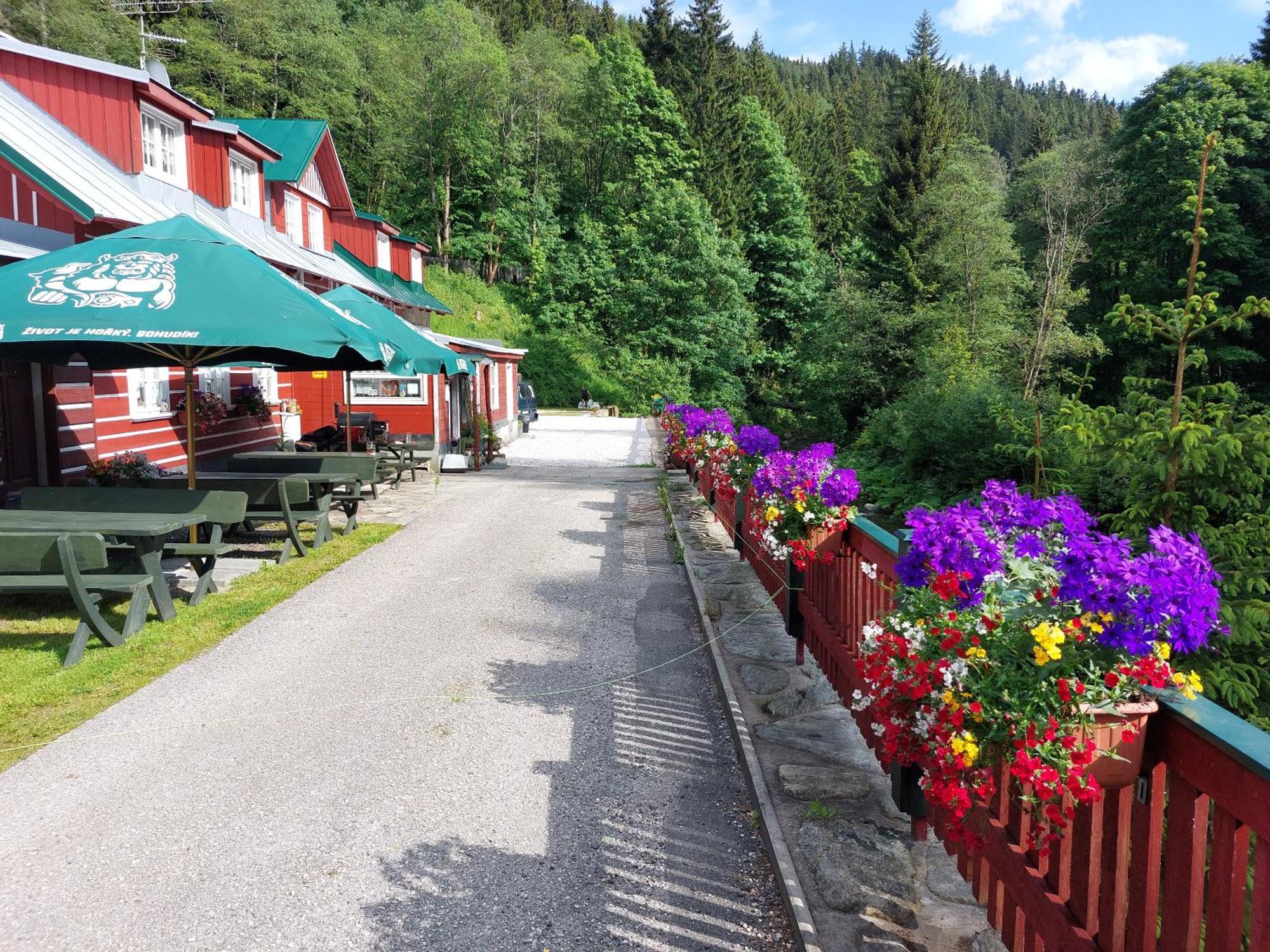 Pension Modrá Hvězda Dolní Malá Úpa Exterior foto