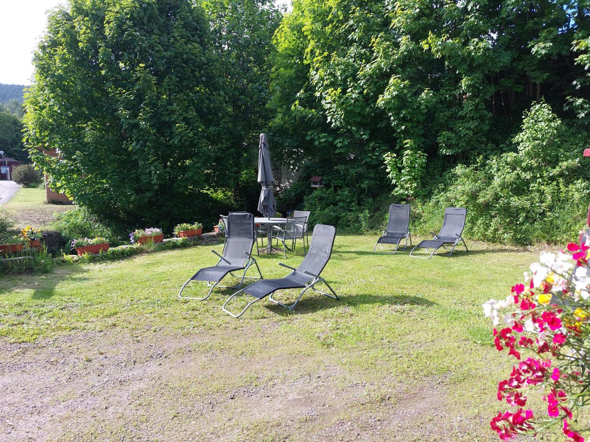 Pension Modrá Hvězda Dolní Malá Úpa Exterior foto